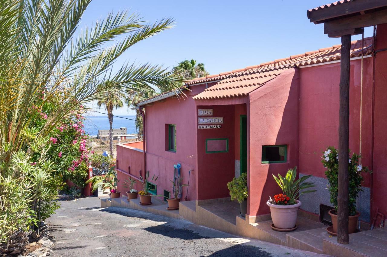 Finca La Gaviota - El Granito Icod De Los Vinos Buitenkant foto